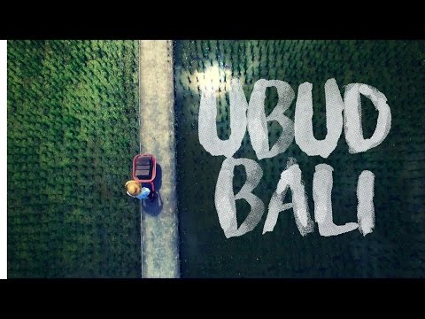 Exploring Ubud Bali in 4K | TRAVEL VLOG |