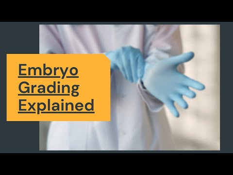Is There Any Connection Between Grade C Embryos and the Risk of Birth Defects? #drmalpani #ivf