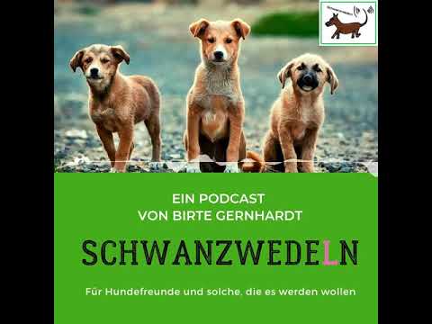 06 Tierheim - Schwanzwedeln