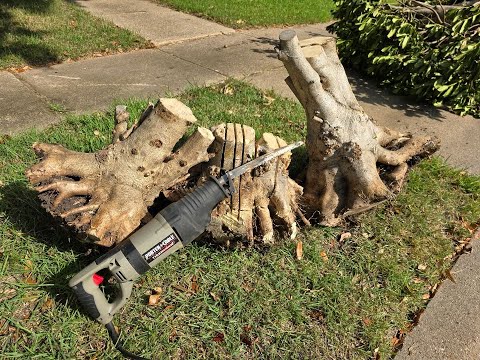 Removing tree stumps with a Sawzall....Super easy!!!