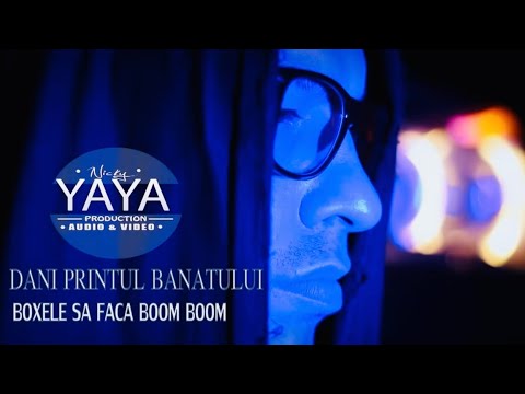 DANI PRINTUL BANATULUI - Boxele să facă Boom Boom  ( repostata )