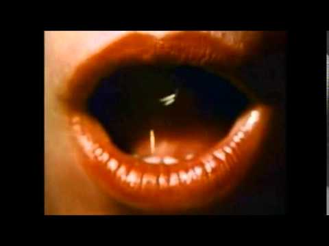 SɅƔEE X PΔḎƩЯ - BONITA