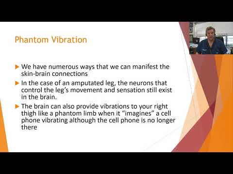The Brain-Skin Connection Series: 2. Hypervigilance and Phantom Vibration - Part One