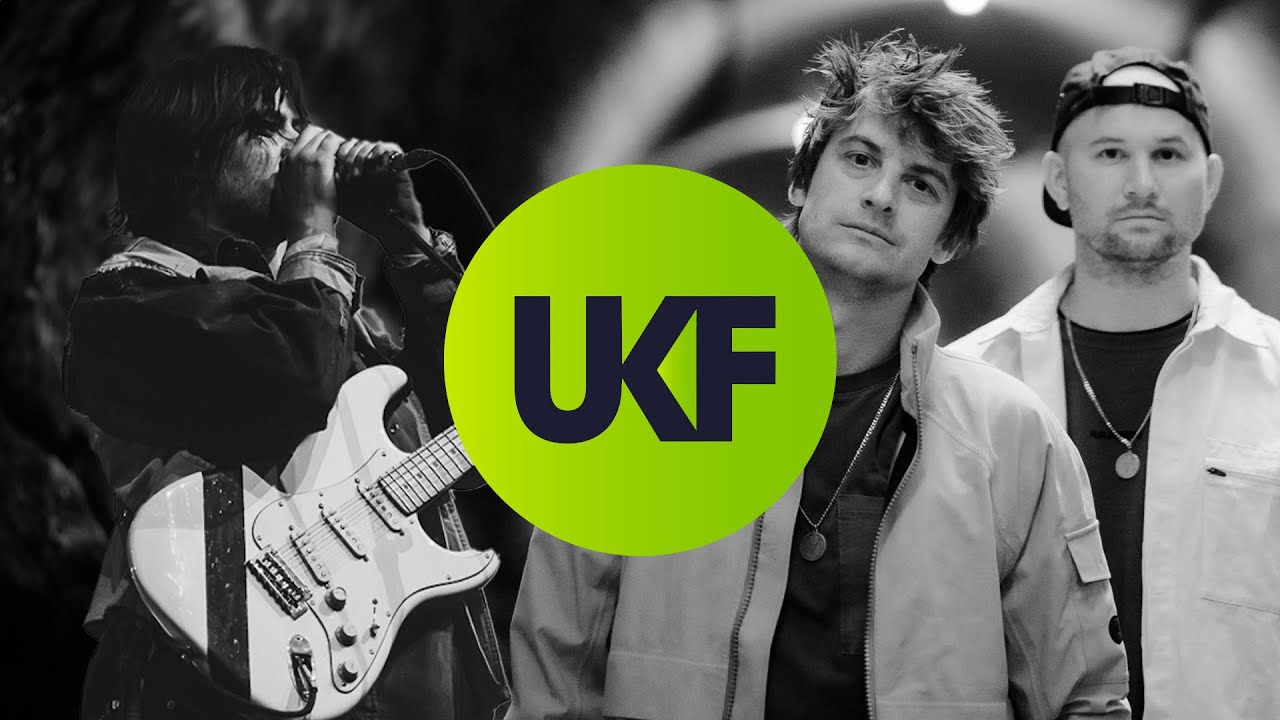 The Caracal Project x Camo & Krooked - While you count down.