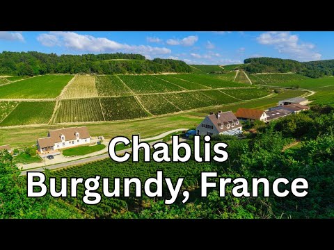 Travel Chablis: A Wine Lover's Guide to Burgundy's Hidden Gem