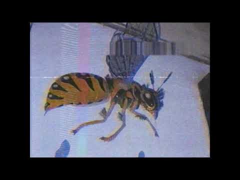 ZDECHŁY OSA - RAZEM W GETCIE (PROD. JUTRØ)