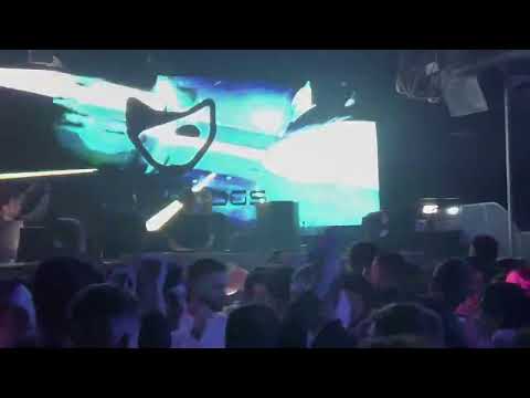 NEVERDOGS play BIGGIE DUB by Stephan Barbieri , Paolo Voci / Pure Enjoyment Records 🚀🚨