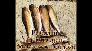 Рыбалка на горных реках приморья и хабаровска