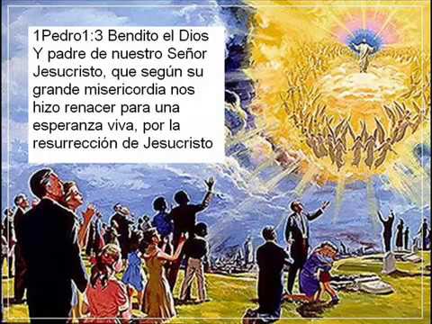 El Señor Viene Pronto - Judith Moreno. La  Llanerita Cristiana