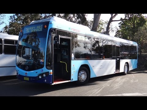 Forest Coachlines M/O 5117 - Mercedes-Benz O500LE (ZF EcoLife/Custom Coaches CB80)