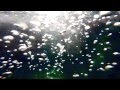Daniel Ahearn - I want to be over you 