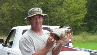 preview picture of video '20 lb Susquehanna River Flathead Catfish Catch - York Haven'