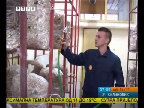 Prijedorski gljivarnik-Ponos Poljoprivredno-prehrambene skole-RTRS prilog