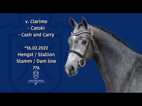 Holsteiner Körlot 2024 | Nr. 19 Clarimo - Catoki - Cash and Carry