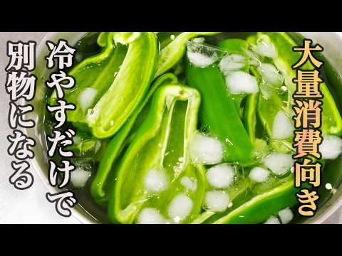 『この夏絶対に食べてほしい』一度食べたら止まらない。極上のパリパリピーマン