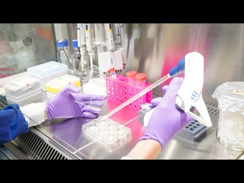 New virus variant: What is known about Omikron