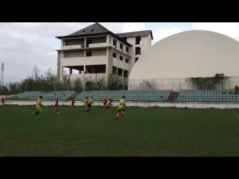 RLK Crvena Zvezda esej