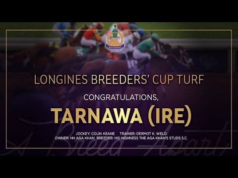 $4M Longines Breeders' Cup Turf: Tarnawa