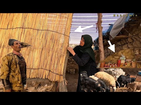 🌿 Nomadic Life in a Tropical Paradise: Shamsali & Mahpari Build a New Home 🐑🏕️