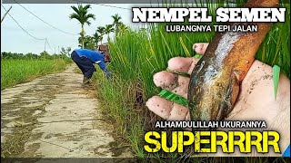 Download lagu REJEKI NOMPLOK !! DAPAT BELUT SUPER DI TEPI JALAN DI TENGAH SAWAH mp3