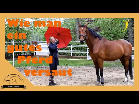 Das Narrativ vom Pferde Trauma, wenn man es selbst verbockt: React auf Hof Eicheneck | Ariane Telgen