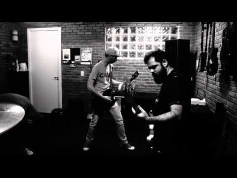 Hauser - Elefante. ( Ensaio )