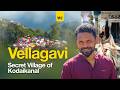 Vellagavi വെള്ളഗവി Kodaikanal S Secret Village