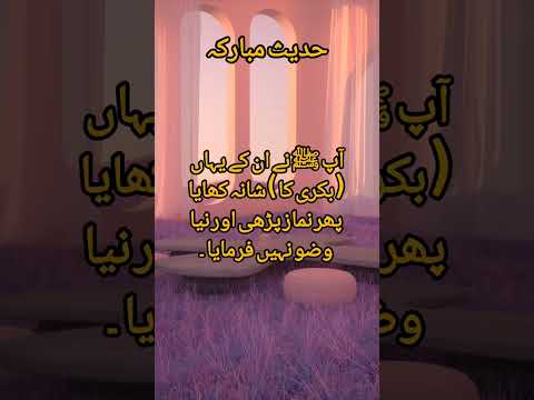 Hazrat Maimuna Zoja #youtubeshorts #shortsviral