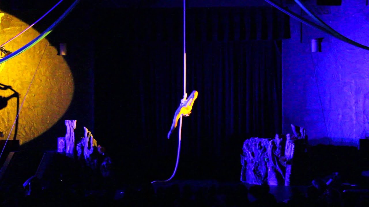 Promotional video thumbnail 4 for Tanya Brno