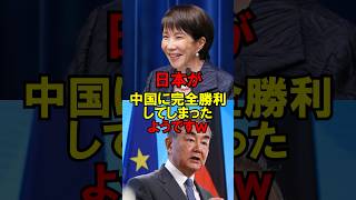 日本、中国に完全勝利してしまったようです #政治 #自民党 #レアアース #中国 #ゆっくり解説