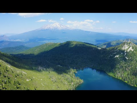 image-Where is Trinity National Forest located?