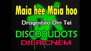 Download lagu Dragostea Din Tei Remix | DiscoBudots | Dj Ericnem mp3