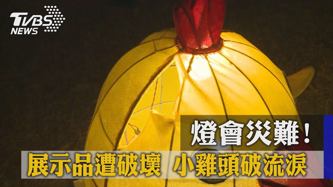 燈會災難！展示品遭破壞　小雞頭破流淚