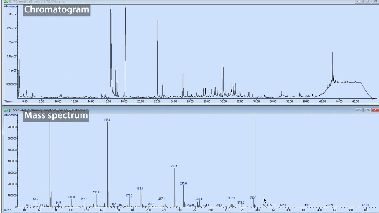 Overview of GC-MS data: Don't confuse chromatograms & mass spectra