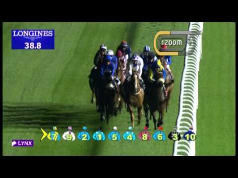 24.01.2013 Meydan (Dubai-UAE) 2.Race Meydan Hotel Trophy -  1.800 m