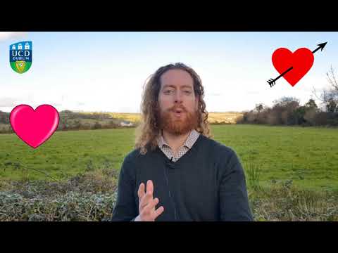 A Chuisle Mo Chroí/Beat of My Heart - Happy Valentine's Day from Summer at UCD!