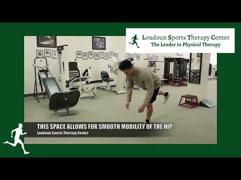 How The Hip Joint Works