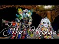 Hare Krishna Kirtan 18 Hare Krishna Hare Rama Kirtan Maha Mantra Kirtan Hare Krishna Kirtan