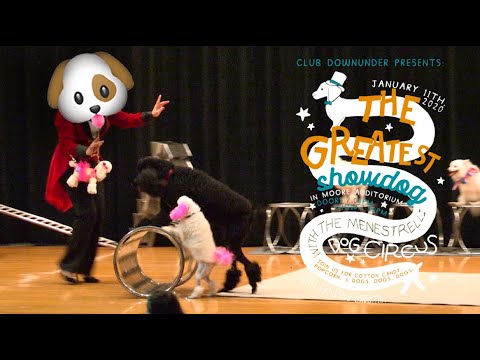 Promotional video thumbnail 2 for Circus Dog Show by Menestrelli Entertainment, LLC
