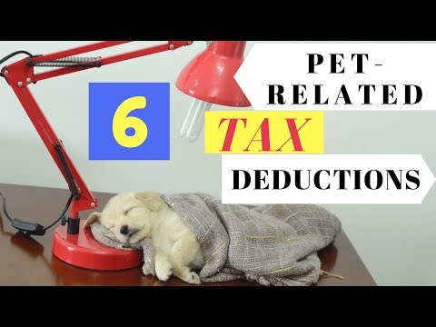 6 Pet-Related Tax Deductions