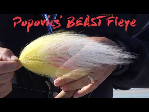 Popovics' BEAST Fleye