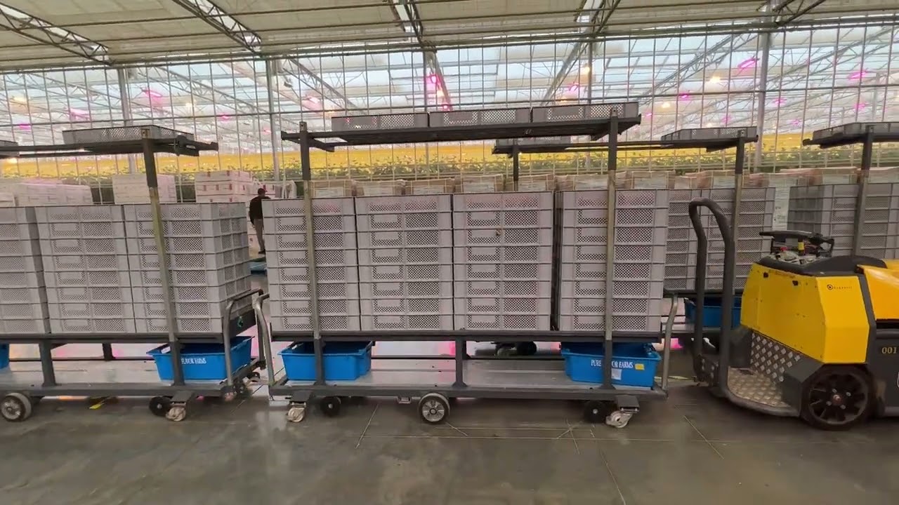 Pure Flavor Greenhouse Visit