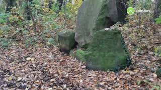 🌈 am Buß und Bettag LE 🧸 Wanderung durch das Oberholz 🏳️‍🌈 17 November 2021