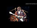 Albert King - 05 I Wonder Why - Live @ Stockholm, Sweden (October 1988)