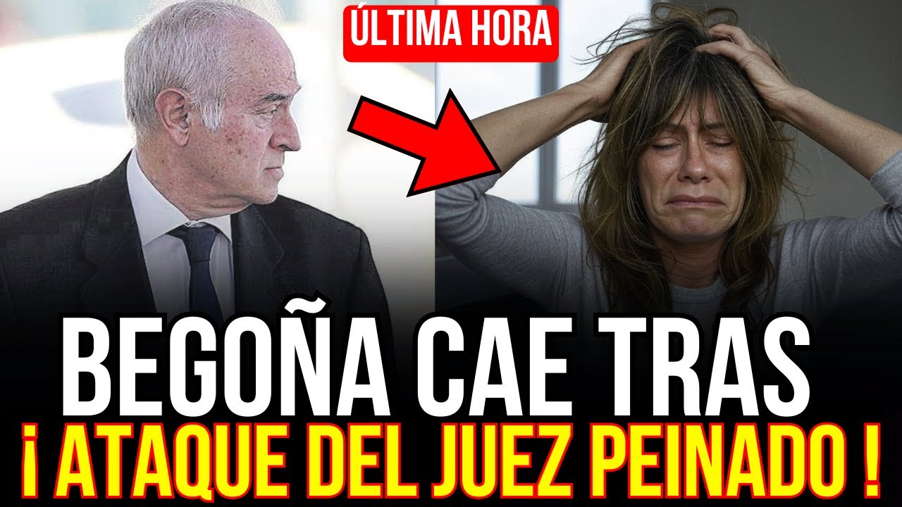 YouTube Thumbnail Downloader FULL HQ IMAGE