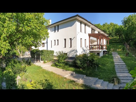 Pet Hotel Cluj Suceagu imagini - Pensiune hotel animale de companie pensiune caini pensiune pisici