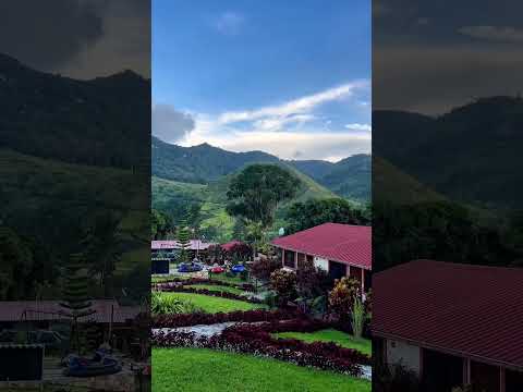 Loma Paraíso- Caripe. Edo, Monagas 🇻🇪❤️#venezuela #amor #paz