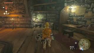【スイッチ２で遊ぶ】ゼルダ　ティアキン　他色々【のんびりTEST】カクツキはこちらの環境です(テスト配信)