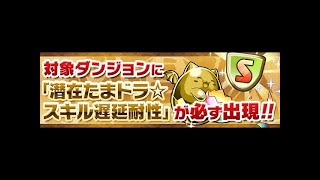 【パズドラ】マシンラッシュで遅延耐性たまどら取りにいきます！