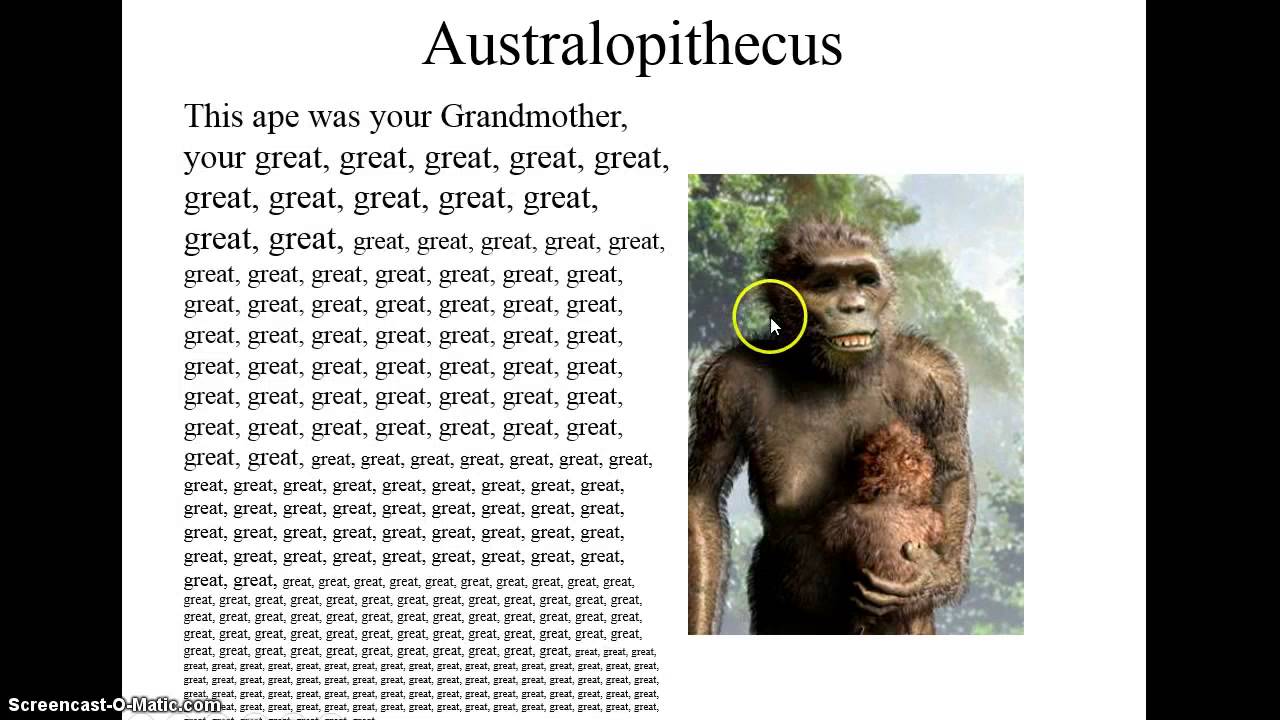 Human Evolution Slideshow